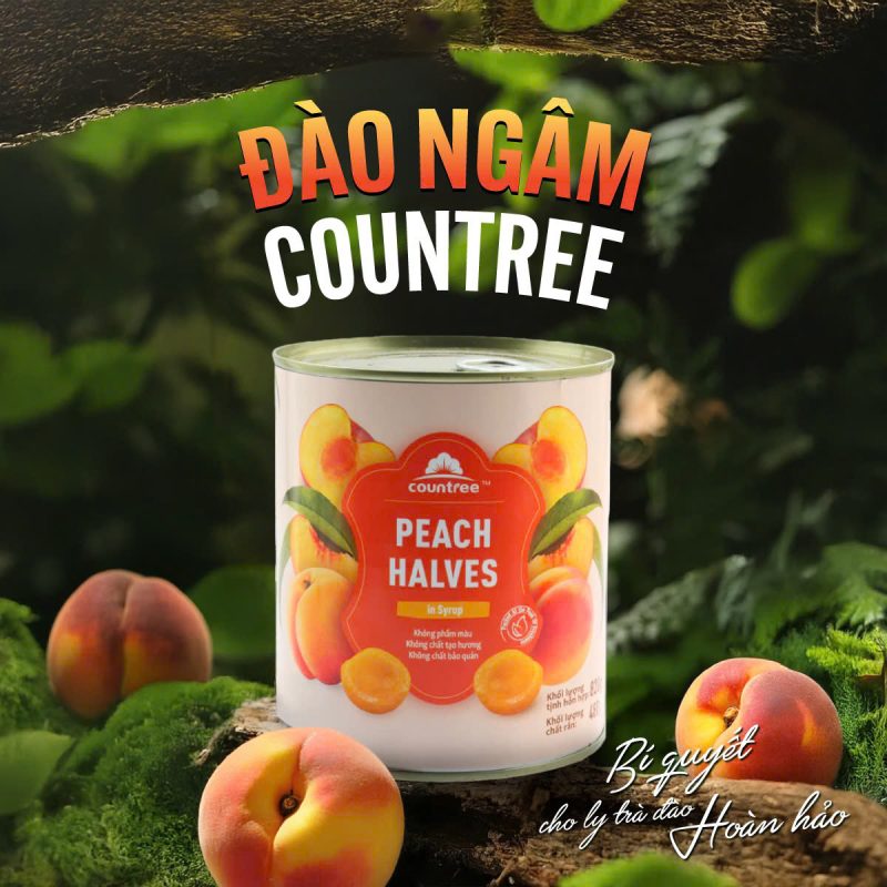 494702552 1244322021035813 3964937772111498254 n