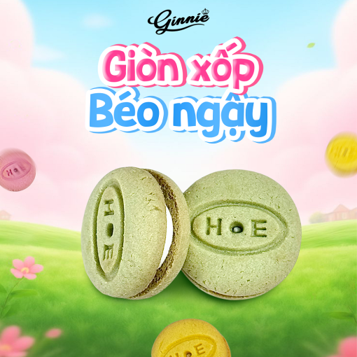 Bánh Ginnie Macaron 500g - Bánh Ngọt Phong Cách Pháp Thơm Ngon 7 GINNIE 0212.4 ko logo
