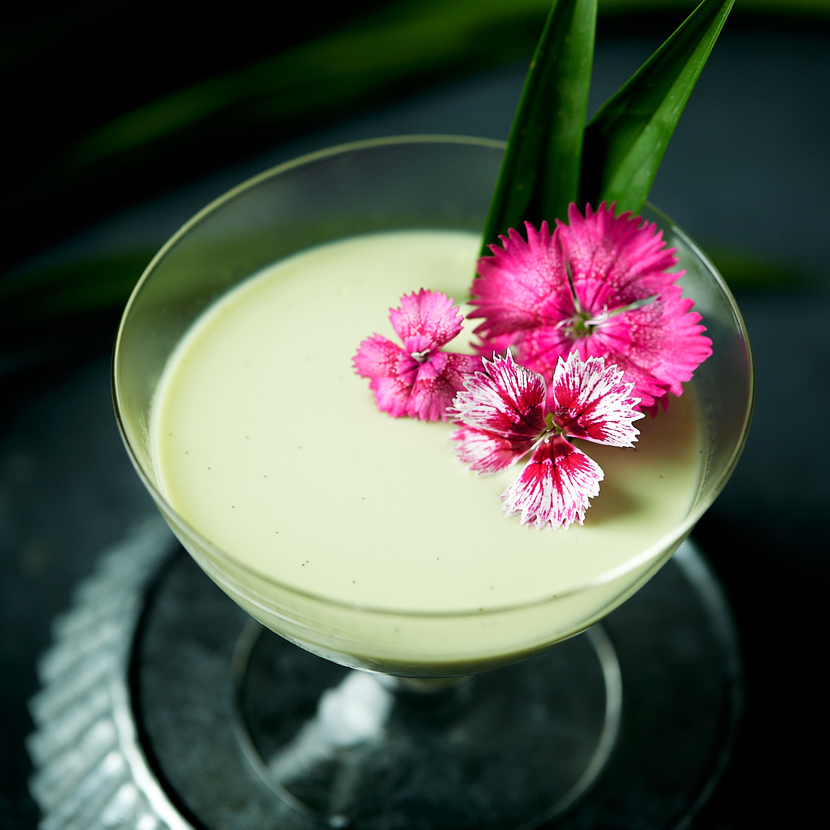 Panna Cotta R2 4