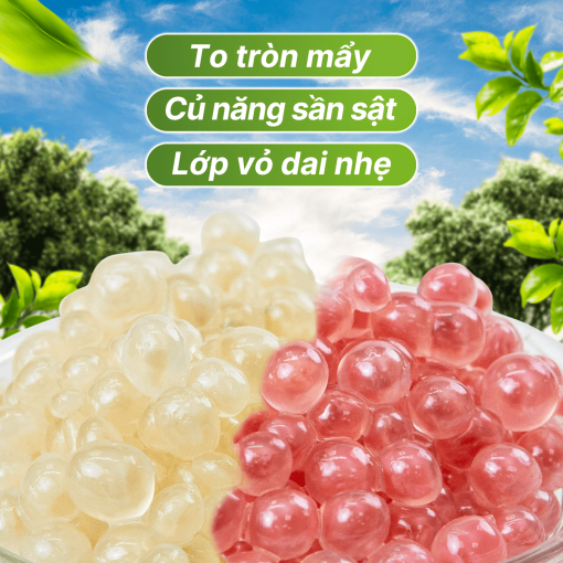 hat no Zestty anh 2