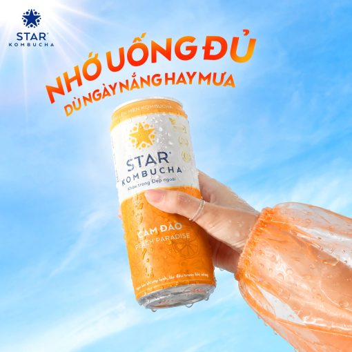 kombucha anh 1