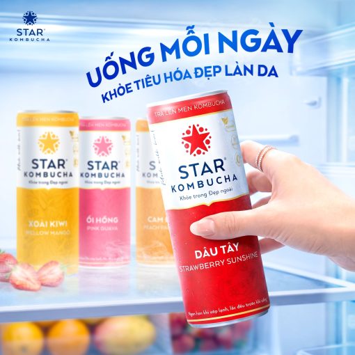 Trà lên men Star Kombucha lon 250ml đủ hương vị