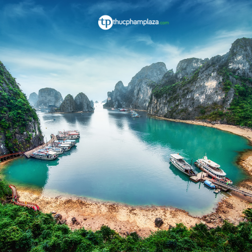 Hạ Long Bay: Thiên đường của những hòn đảo đá ngọc bích