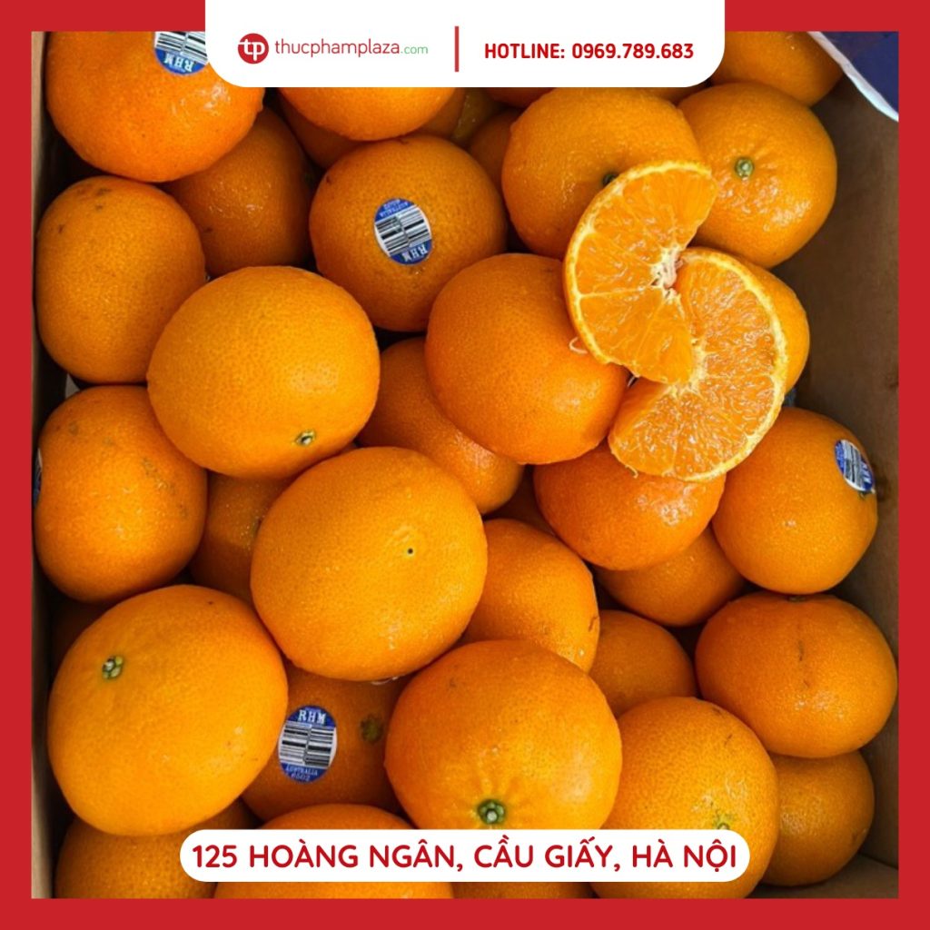 367494348 1380387506139728 3002672851098162289 n large