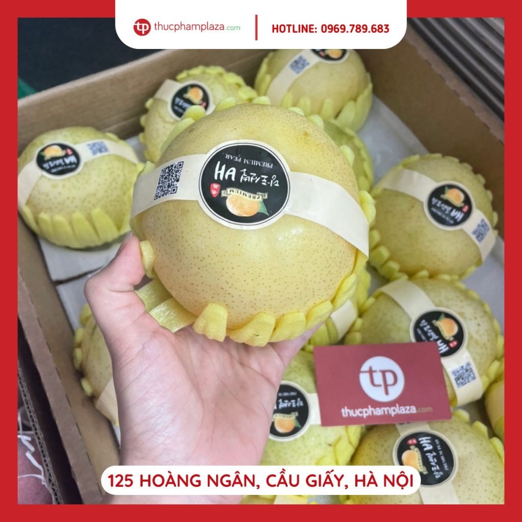 367690343 1380387336139745 6090396693257838311 n large