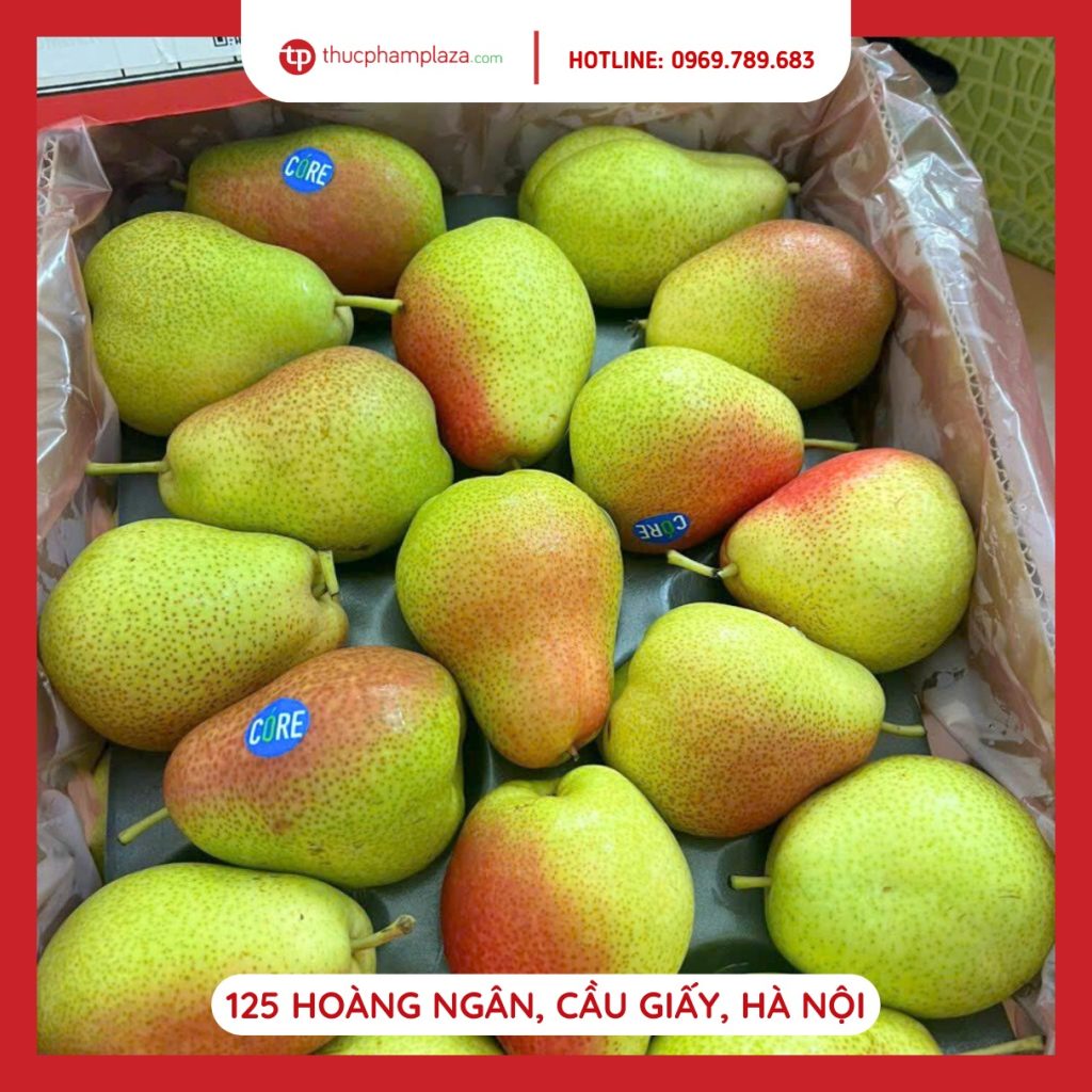 367700050 1380387302806415 8939061372953639424 n large