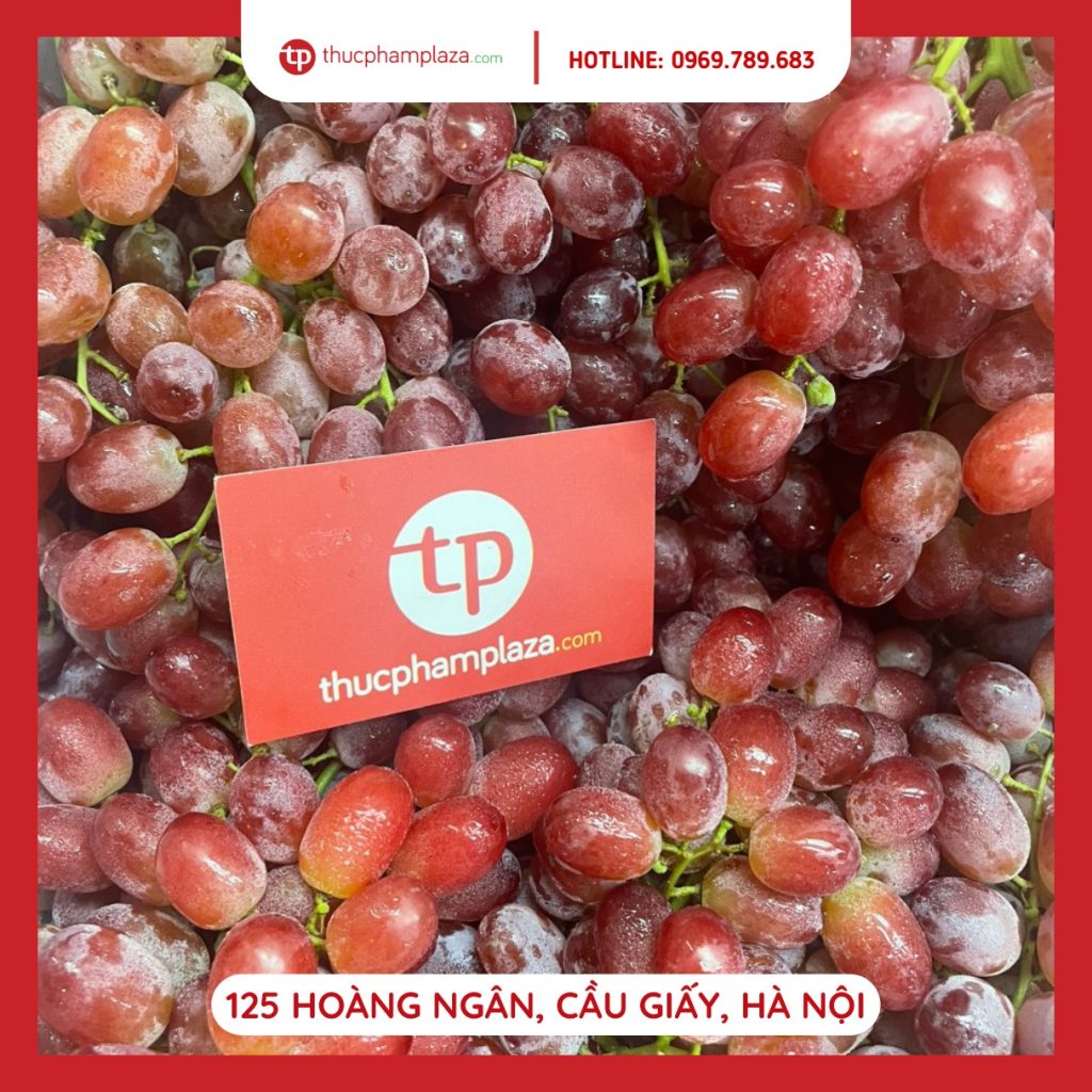 367705098 1380386942806451 2812599903748333960 n large