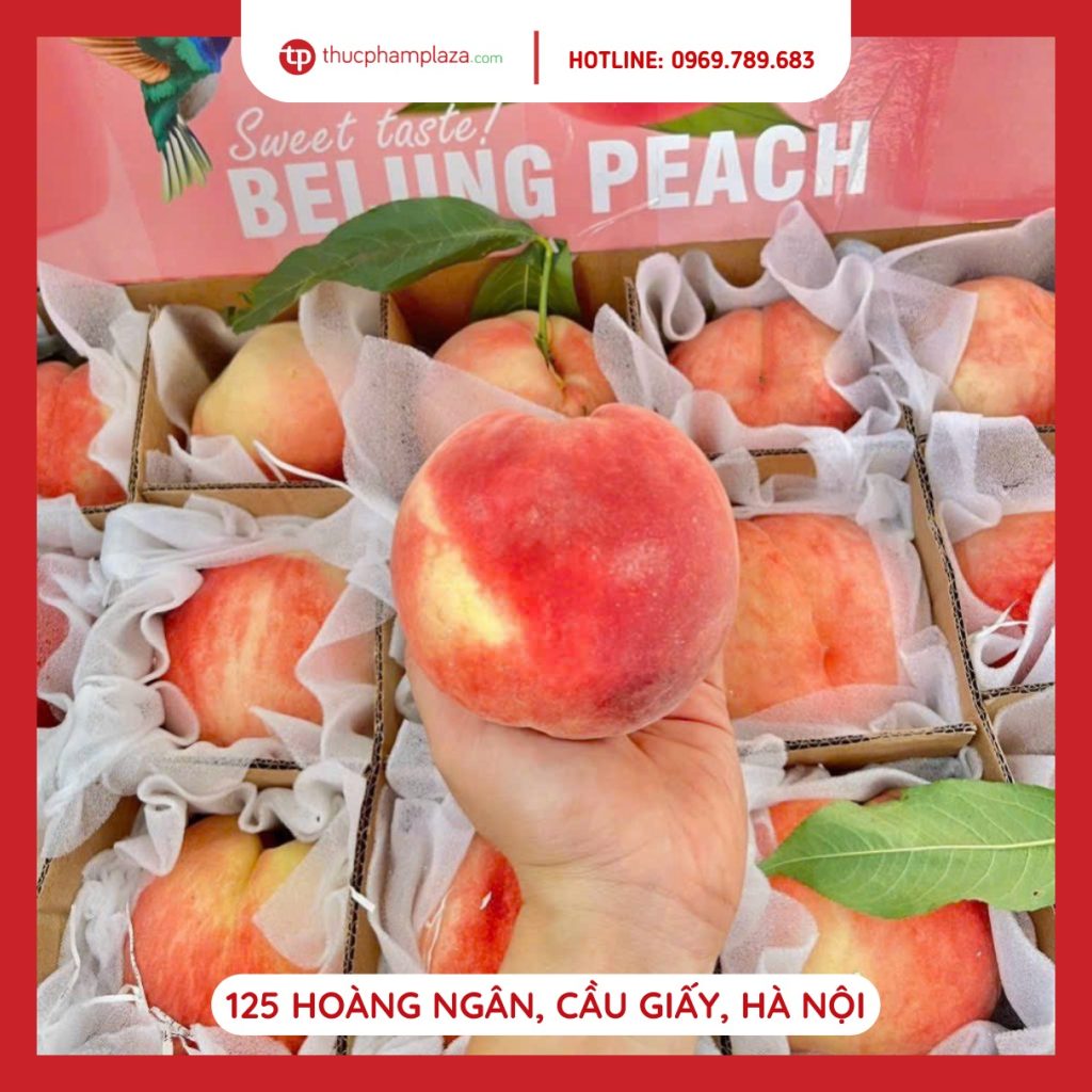 367714570 1380386759473136 4152716023074442077 n large