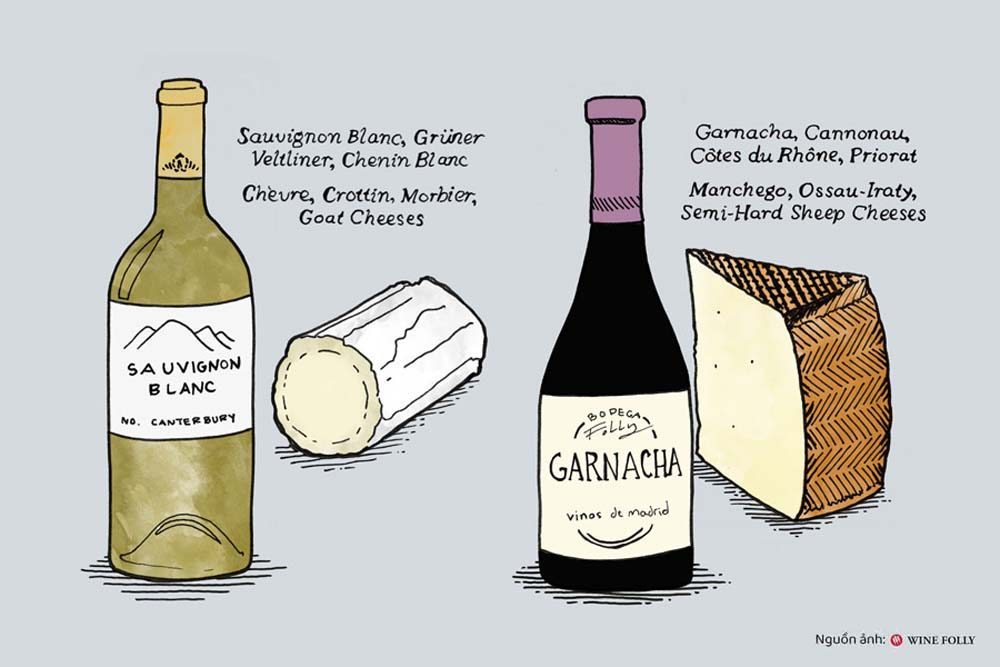 Sự kết hợp tuyệt vời của rượu vang và phô mai có thể bạn chưa biết 6 Sự kết hợp tuyệt vời của rượu vang và phô mai 5