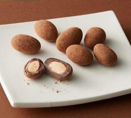 482979453 949066404051280 8548350834721925334 n