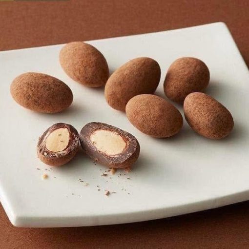 482979453 949066404051280 8548350834721925334 n