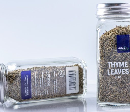 497765273 1210911257712508 7305213975641921083 n