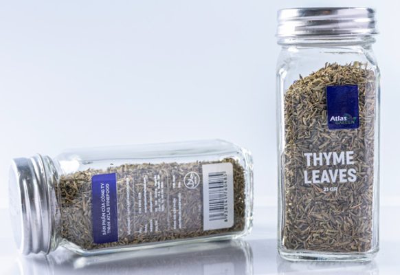 497765273 1210911257712508 7305213975641921083 n