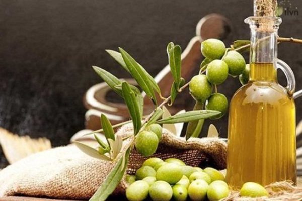 Dầu oliu Extra Virgin Olive Oil