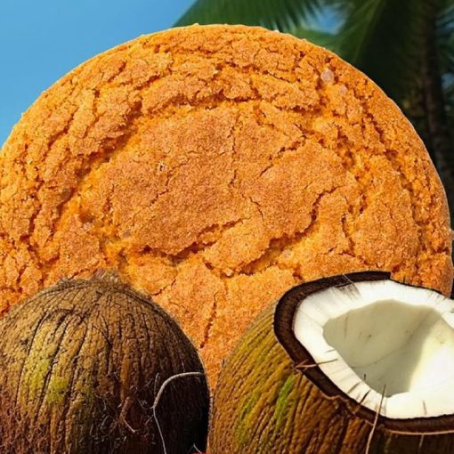 568435066 1143968287932019 4525562159445172969 n