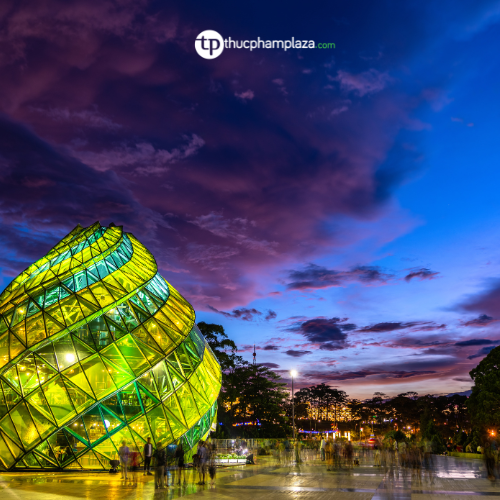 Đà Lạt: Thành phố mùa hè mát lạnh của Việt Nam