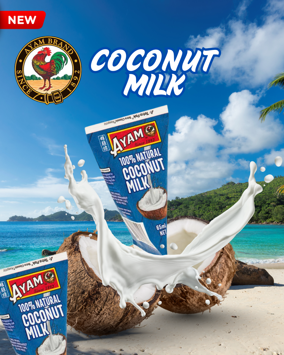 Blue White and Brown Simple Coconut Day Instagram Post