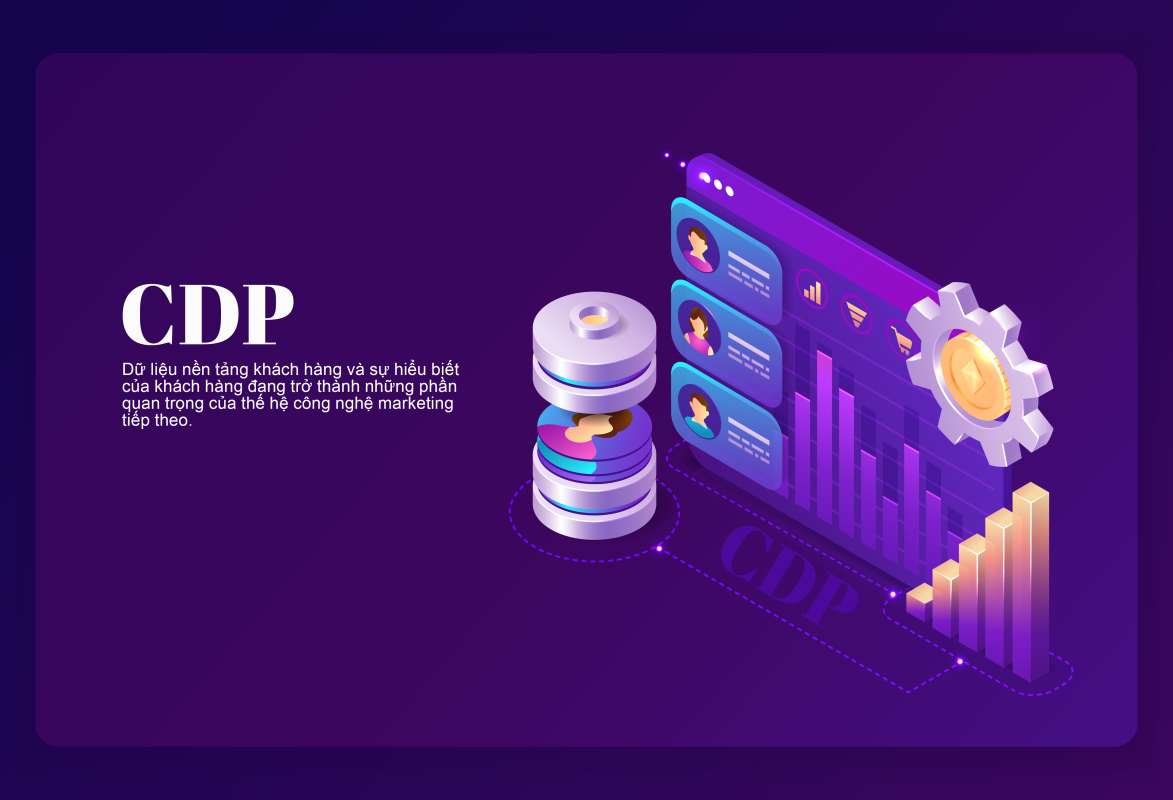 Nền tảng dữ liệu khách hàng - Giải pháp quản lý dữ liệu trong tương lai 1 CDP large