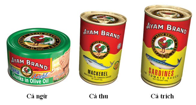 Ca ngu Ca thu Ca trich Ayam Brand1