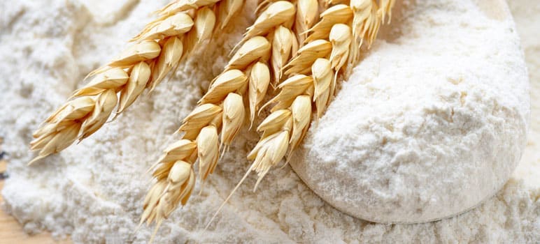 glutinous rice flour là gì
