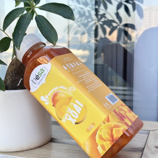 Mứt Sinh Tố DESA các vị giải pháp Hoàn Hảo Cho Đồ Uống 7 IMG 7285