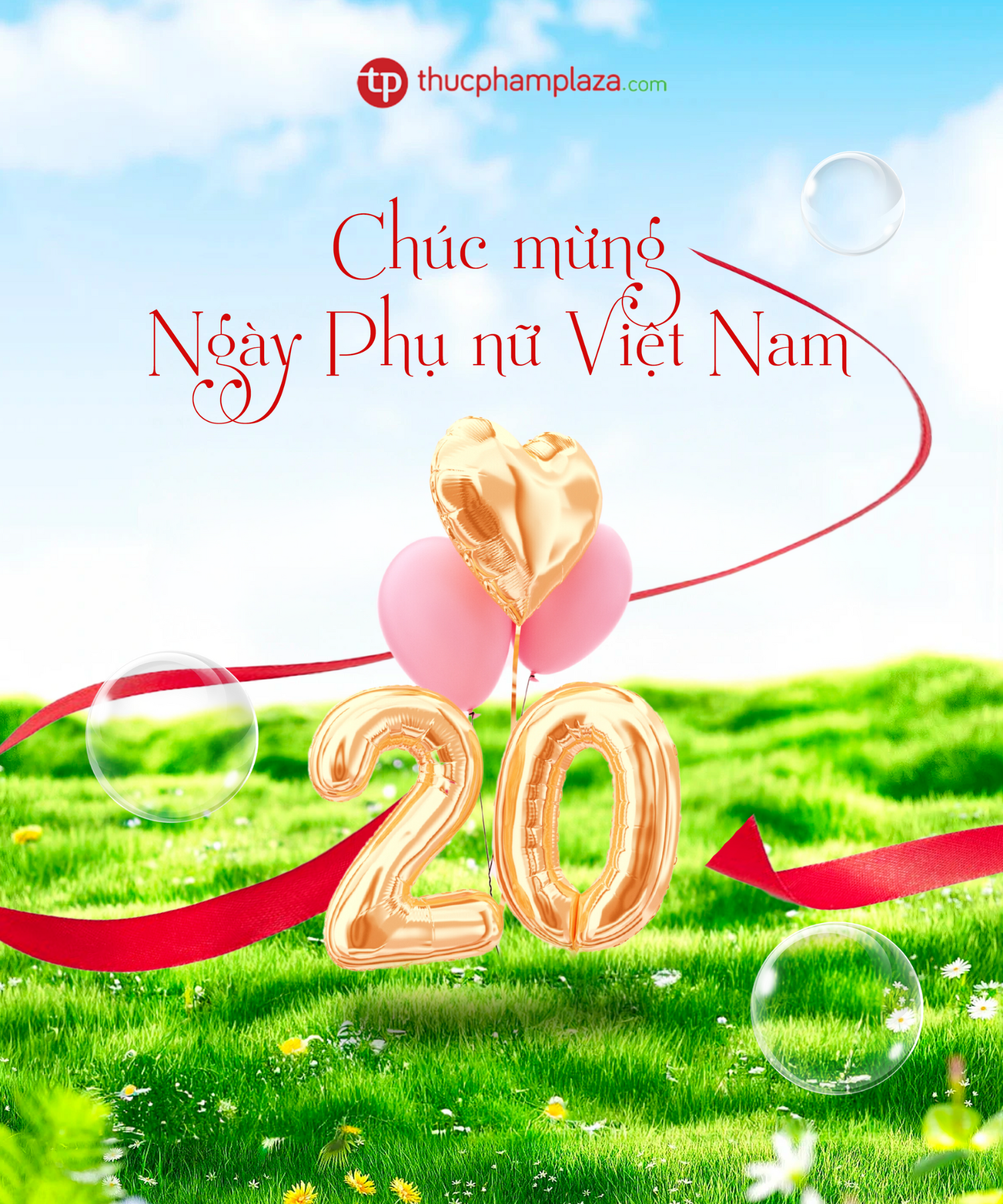 Thuc Pham Plaza 1 18