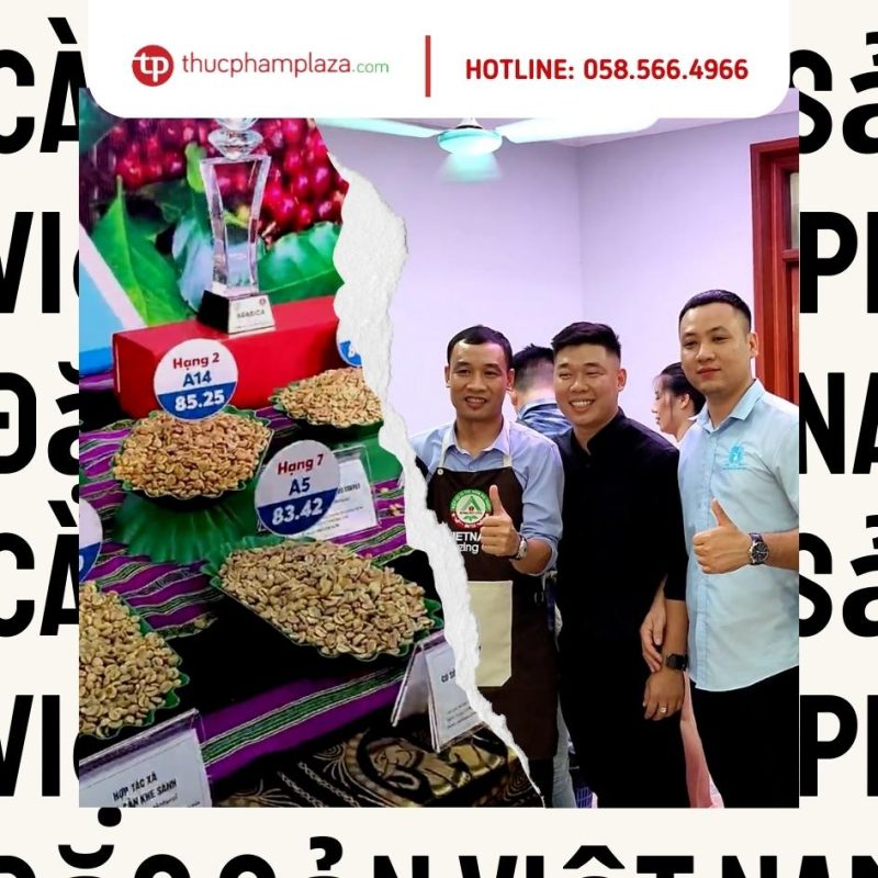 Thuc Pham Plaza 1 7 large