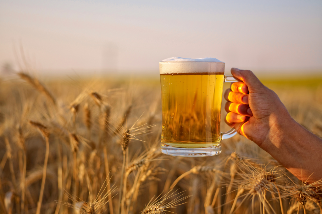 Thuc Pham Plaza 13 1 large