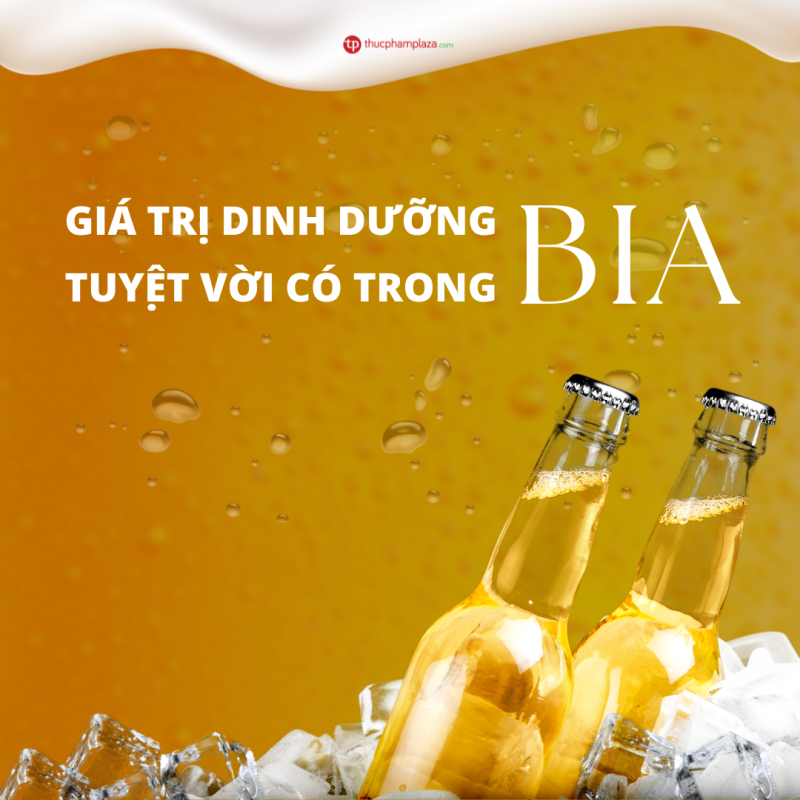 Thuc Pham Plaza 15 1 large