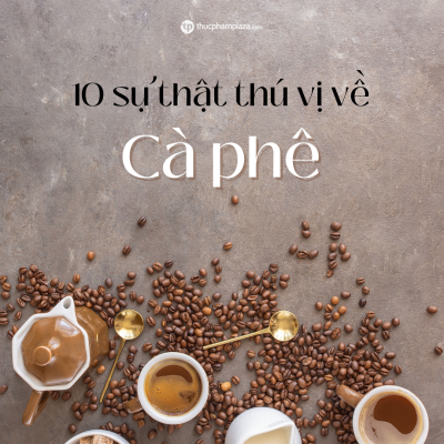 Thuc Pham Plaza 4 3 medium