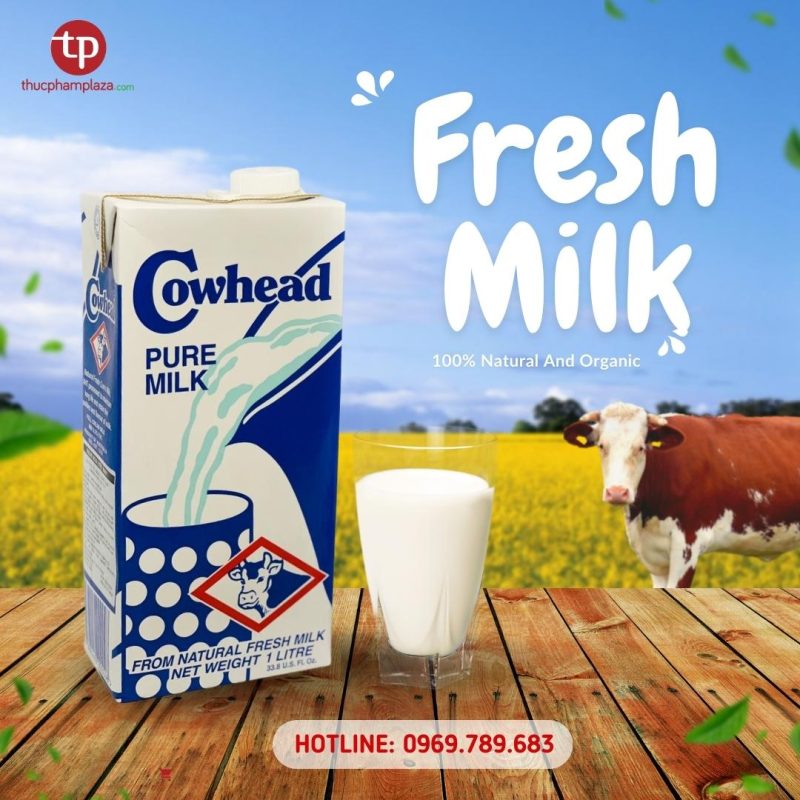 Thuc Pham Plaza cho Thoa 3 1 large