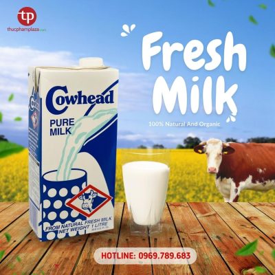 Thuc Pham Plaza cho Thoa 3 1 medium