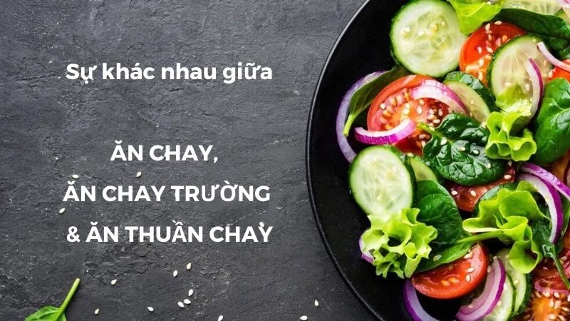 Ăn chay trường ăn thuần chay khác nhau như thế nào 5
