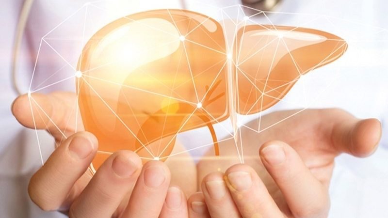 an chay an chay truong va an thuan chay khac nhau nhu the nao 202108171602483104 large