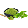 Bột Matcha