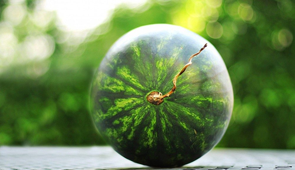 Chọn dưa hấu cho mâm quả ngày Tết cần lưu ý những gì 3 cach chon dua hau cho mam qua ngay tet large