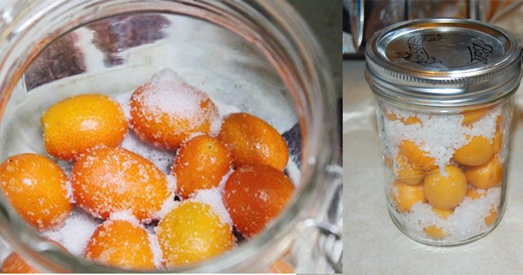 Làm tắc muối giải rượu ngày tết cực hiệu quả 2 cach lam tac muoi giai ruou ngay tet 2 large