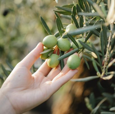 pexels gary barnes 6231888 scaled medium