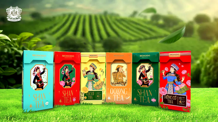 poster web 6 tra 1 medium