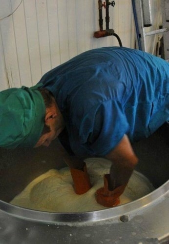 Khám phá quy trình làm phô mai dây hun khói của Nga 4 công nhân đang tiến hành kết đôn sữa