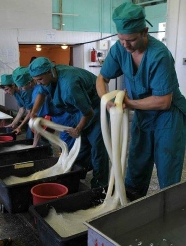 Khám phá quy trình làm phô mai dây hun khói của Nga 6 quy trinh lam pho mai hun khoi 4 large