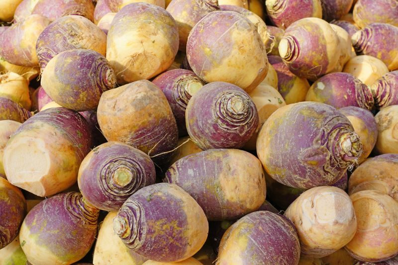 Rutabaga là gì?