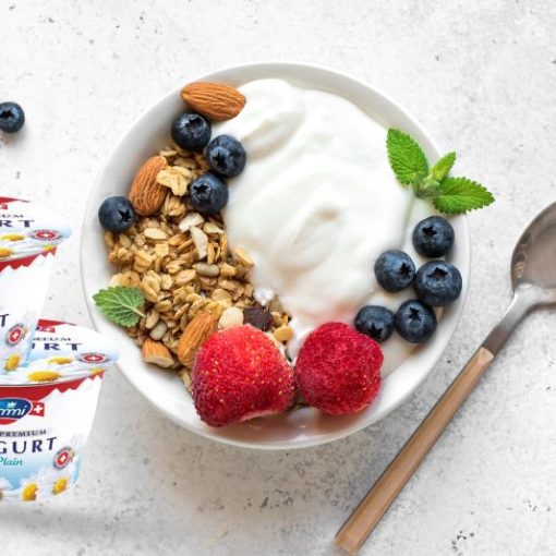 Sữa chua Emmi nguyên chất hộp 100g 5 sua chua emmi nguyen chat chinh hang 1