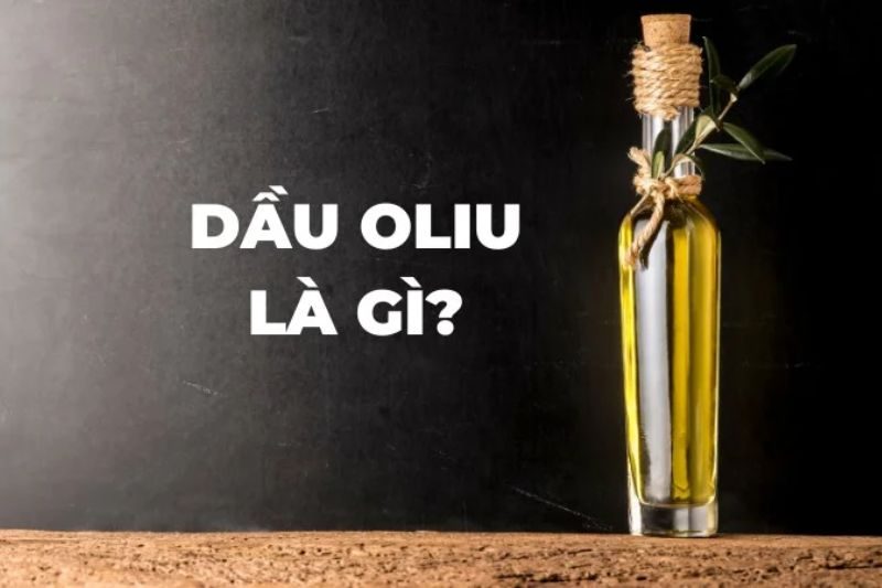 Top các loại dầu ô liu được yêu thích nhất 2024 1 Top các loại dầu ô liu 2024