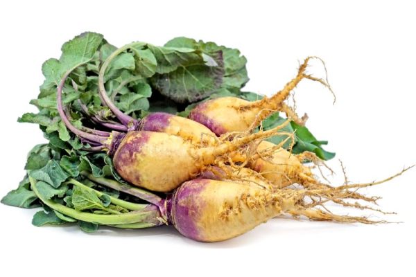 Rutabaga là gì?
