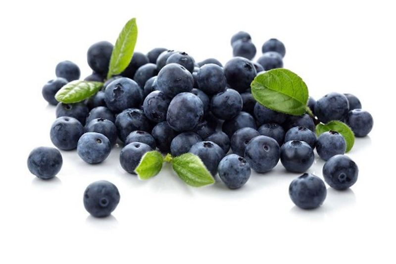 Công Thức Blueberry Muffin Đơn Giản Cho Người Mới Bắt Đầu 6 blueberry muffin