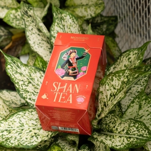 z4950465595435 4568e50e3ec7ea54888dcda8dcedff13 small