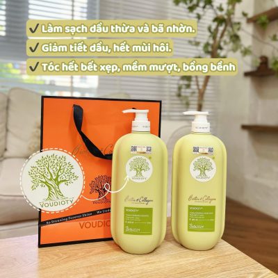 Cặp gội xả Biotine xanh lá phục hồi và kiềm dầu 500ml 2 z5193181455110 47a49a53ac904194ee81c65abf59b8ec medium