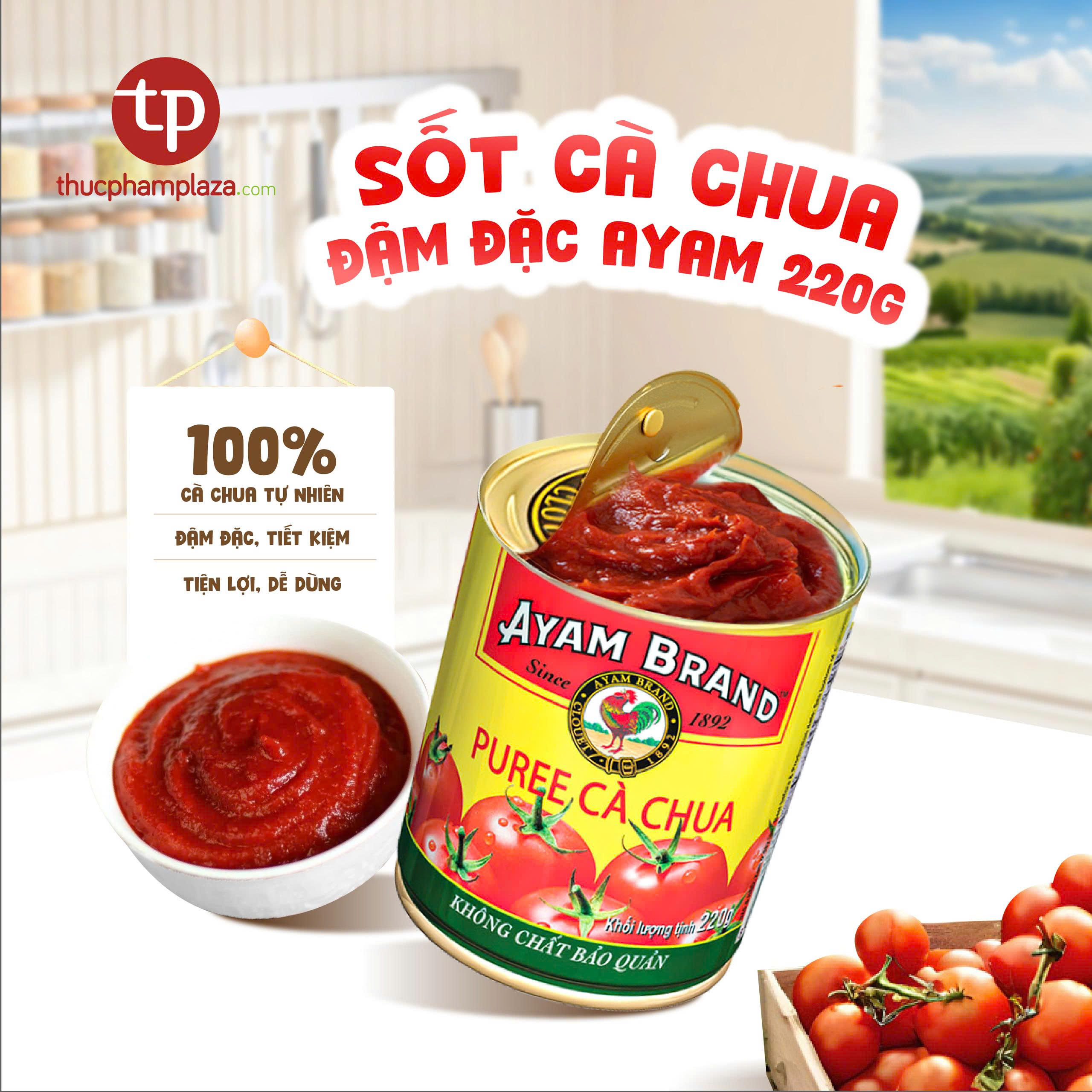 Puree cà chua hiệu AYAM - hộp 220g 1 z7045337717762 0b54b78384cb4a296b6da10e73bddd2f