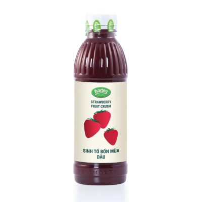 Sinh tố Osterberg Dâu Tây - Strawberry 1L 2 sinh to Osterberg dau 1L